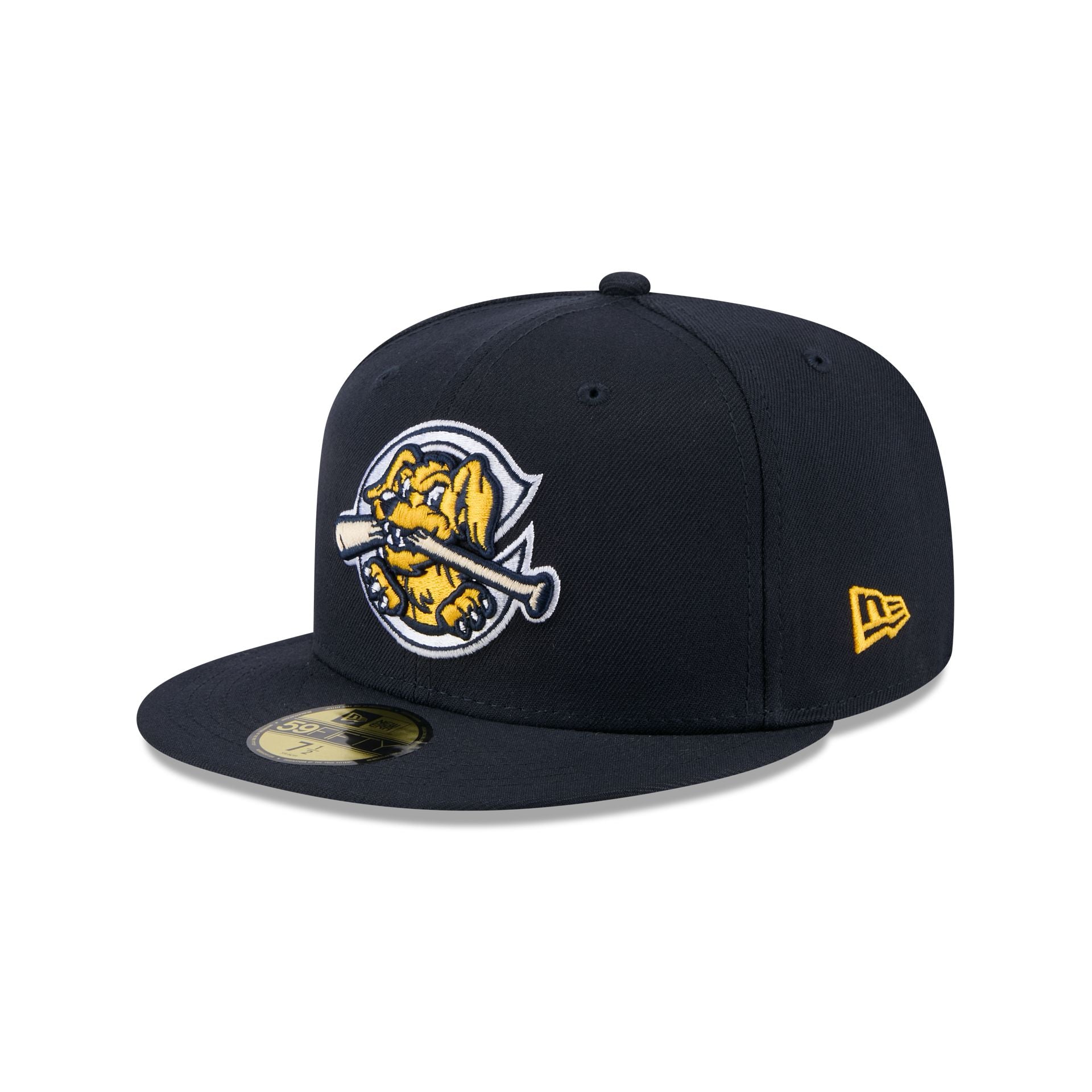 Charleston RiverDogs Authentic Collection 59FIFTY Fitted Hat