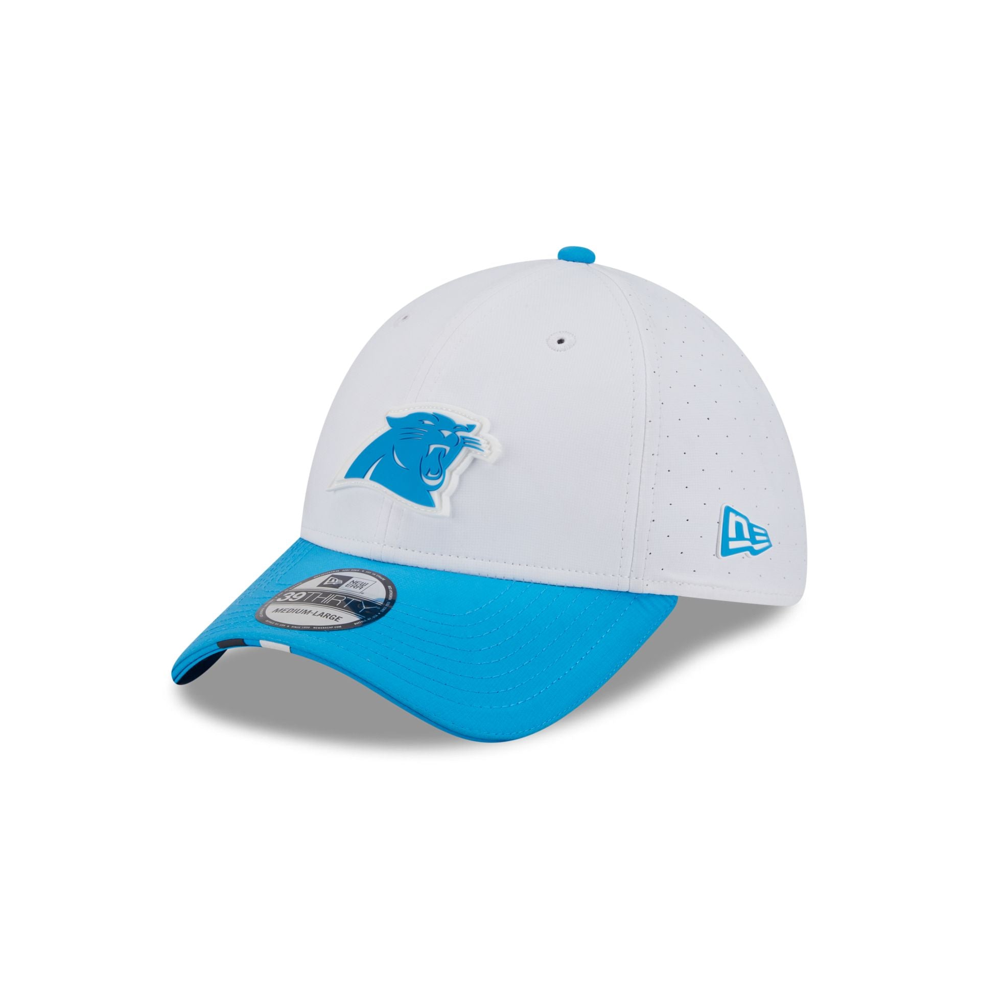 Carolina Panthers 2025 Training 39THIRTY Stretch Fit Hat
