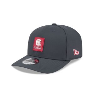 South Carolina Gamecocks Cold Weather 9SEVENTY Stretch-Snap Hat