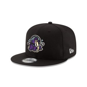 Erie Moon Mammoths 9FIFTY Snapback Hat